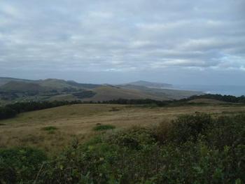 Landschaft auf Rapa Nui