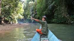 Petition: Keinen Holzeinschlag am Fluss Sungai Lioh