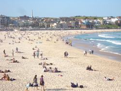 Bondi Beach